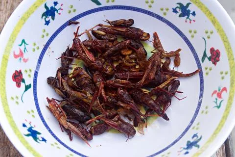The fried grasshopper Stock Photos
