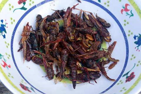 The fried grasshopper Stock Photos