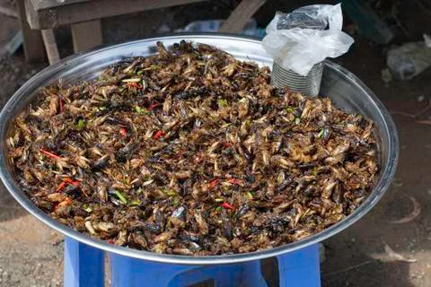 Fried grasshoppers Stock Photos