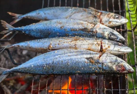 Fried on the grill fish mackerel in nature. Cooking on the grill. Stock Photos