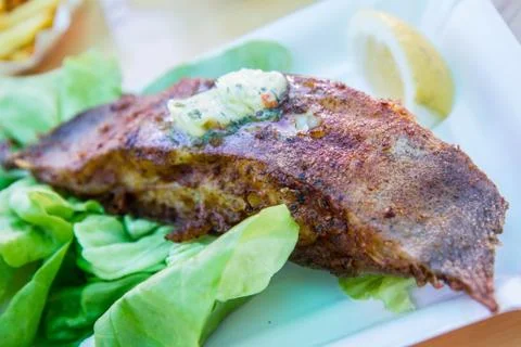 Fried halibut fish Stock Photos