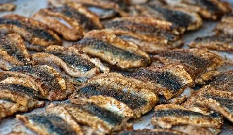 Fried herring. Stock Photos