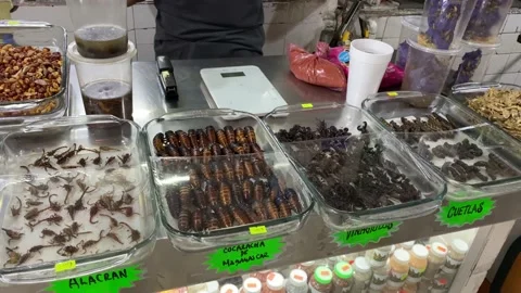 Fried insects are seen for sell as exotic foods in Mexico City, 4K Stock Footage 159767121