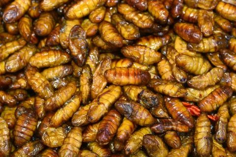 Fried insects in Bangkok ** note select focus with shallow depth of field Stock Photos
