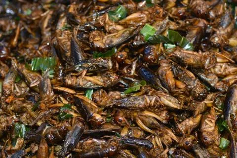 Fried insects in Bangkok ** note select focus with shallow depth of field.. Stock Photos