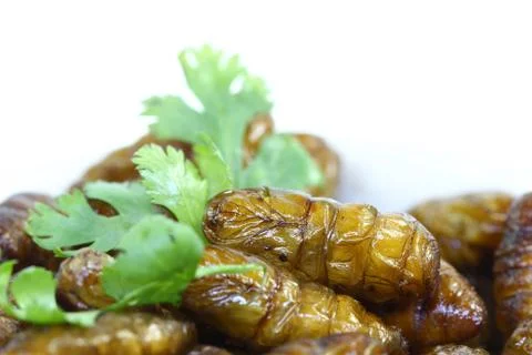 Fried insects. Stock Photos