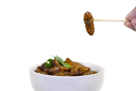 Fried insects. Stock Photos