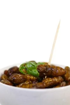 Fried insects. Stock Photos