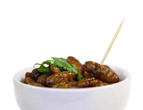 Fried insects. Stock Photos