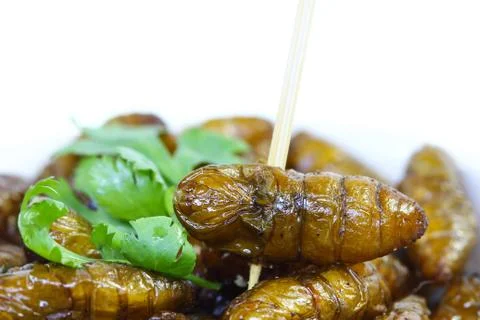Fried insects. Stock Photos