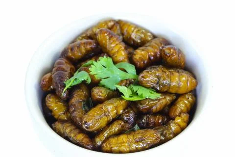 Fried insects. Stock Photos