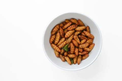 Fried insects Foto stock