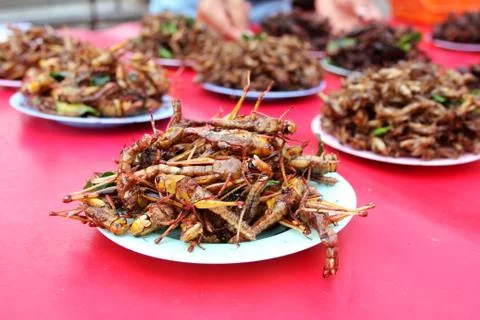 Fried insects Stock Photos