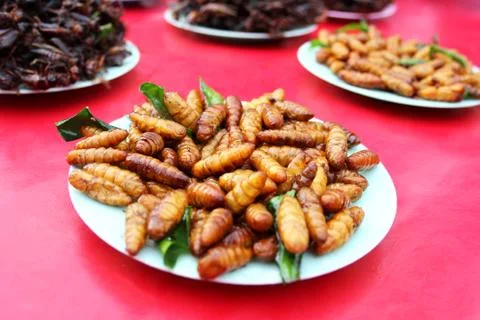 Fried insects Stock Photos