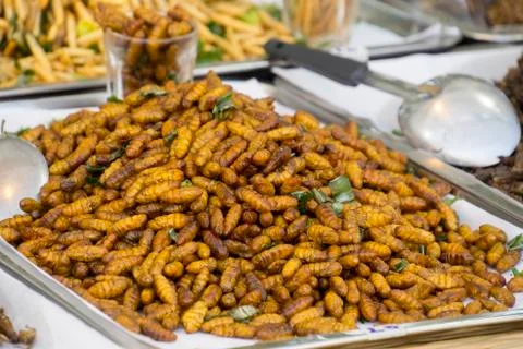 Fried insects Fotos Stock