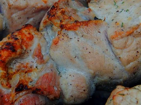 Fried kebab on coals close-up Stock Photos