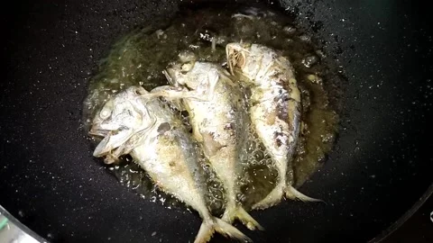 Fried Mackerek fish. 動画素材 160464551