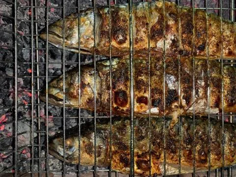 Fried mackerel cooked over a fire. Grilled fish with spices in a grid. Stock Photos