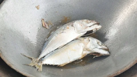 Fried mackerel on pan. Stock Footage 105712993