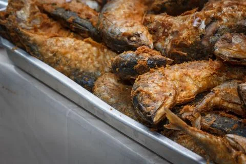 Fried mackerel Stock Photos