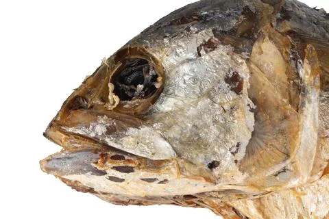 Fried mackerel on a white background closeup head Stock Photos