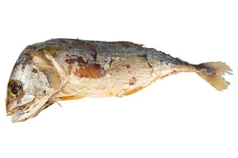 Fried mackerel on a white background Foto stock