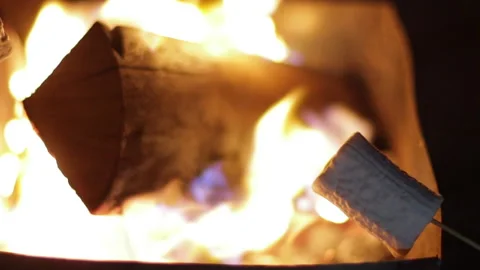 Fried marshmallow on a stick on a background of fire close-up Stock Footage 218168078