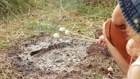 Fried marshmallows, a fire Stock Footage 157654358