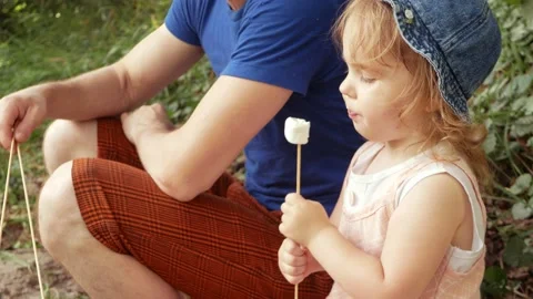 Fried marshmallows, a fire Video stock 157654425