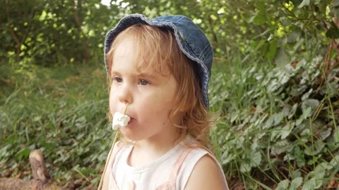 Fried marshmallows, a fire Video stock 157654517