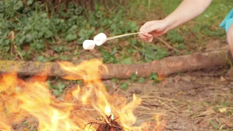 Fried marshmallows, a fire Stock Footage 157655191