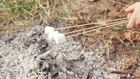 Fried marshmallows, a fire Stock Footage 157655204