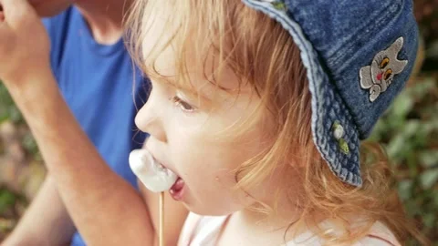 Fried marshmallows, a fire Stock Footage 157655235