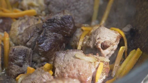 Fried meat Stock Footage 159581539