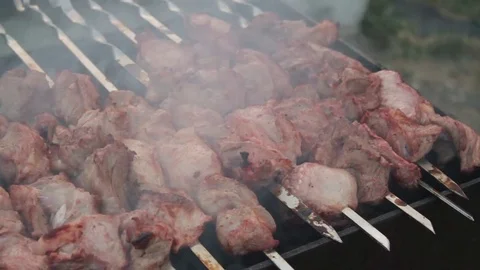 Fried meat shish kebab Stock Footage 79206464