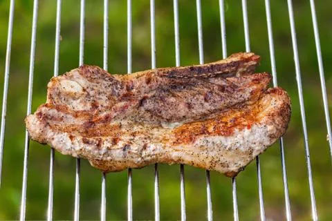 Fried meat slice on barbecue grid Foto stock