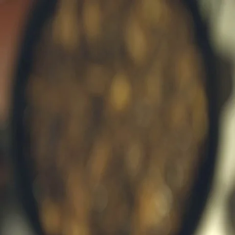 Fried mushrooms. Close-up. Видео 69384004