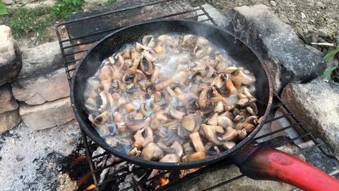 Fried mushrooms in a pan. Stock Footage 115041210