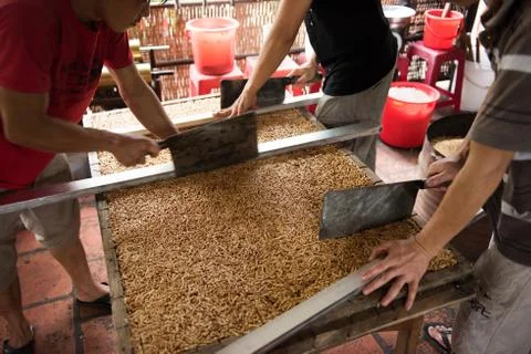 Fried Noodles in Cai Be Foto stock