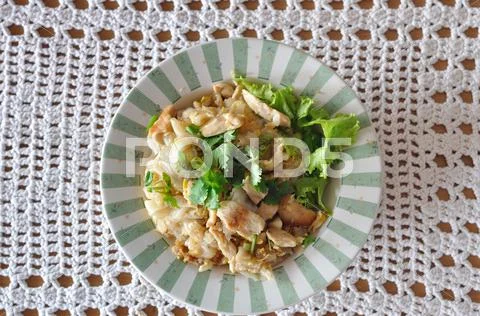 Fried noodles with roasted chicken on star-burst plate. Stock Photos