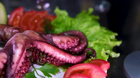 Fried octopus with cheese and lettuce. Stock Footage 303491981
