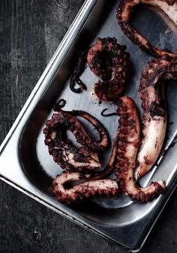 Fried octopus Stock Photos