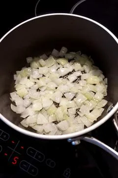 Fried onion. 写真素材