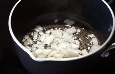Fried onion. Stock-Fotos