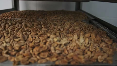 Fried peanuts Stock Footage 164605094