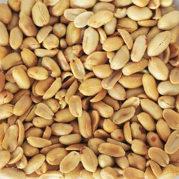 Fried peanuts Stock-Fotos