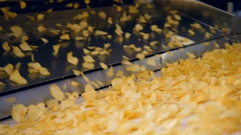 Fried potato chips falling into industrial conveyor at a factory. Stock-Footage 105594528