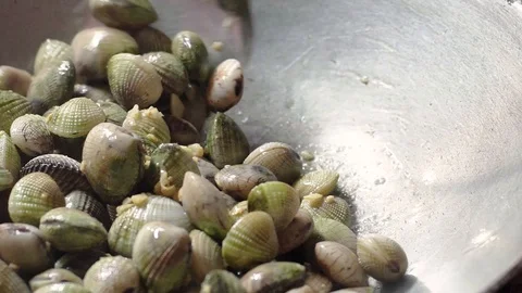 Fried Quahaug Shell with Garlic in Hot Frying Pan, Gas Stove 스톡 동영상 128941071
