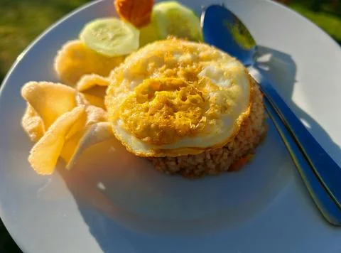 Fried rice Foto stock