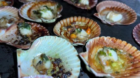 Fried scallops in the oven Stock Footage 221100806